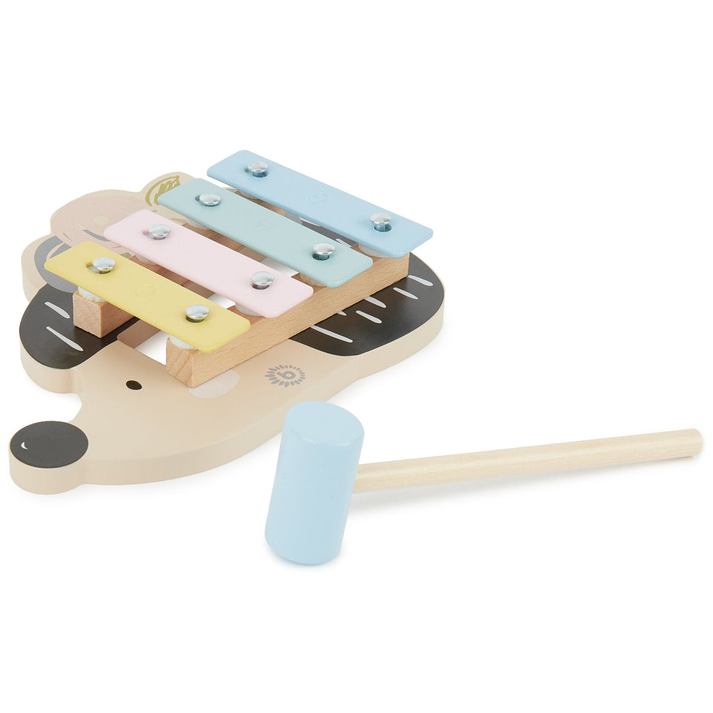 Xylophone Musikinstrumente Spielen & Lernen Mini Xylophon Igel Bieco Rear Image Open Box