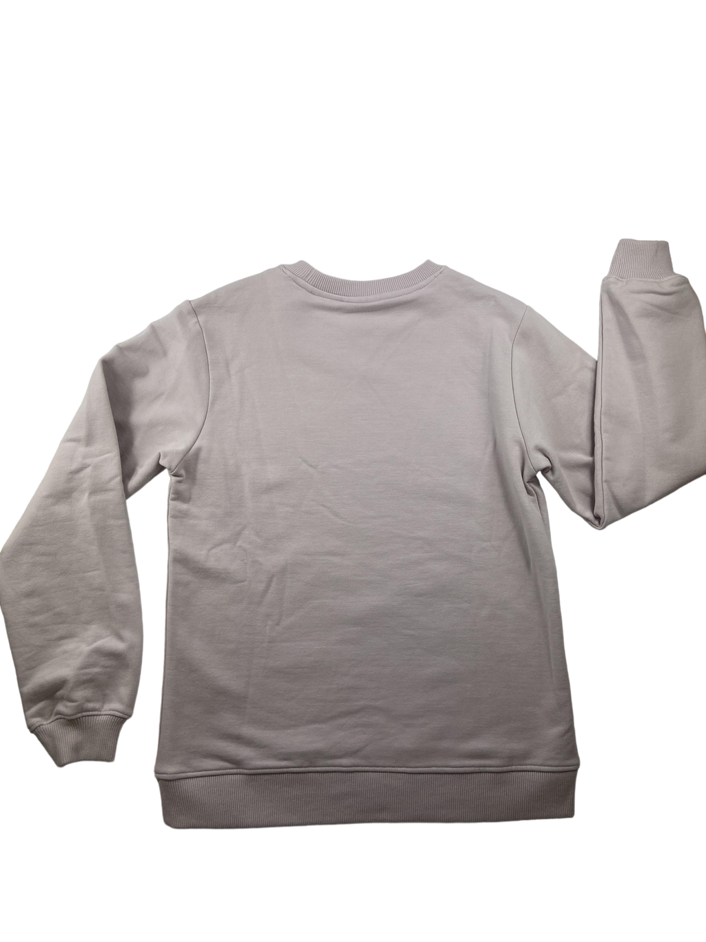 Sweatshirts & Hoodies Kleidung Hoodie mit Aufschrift Rear Image Last Season