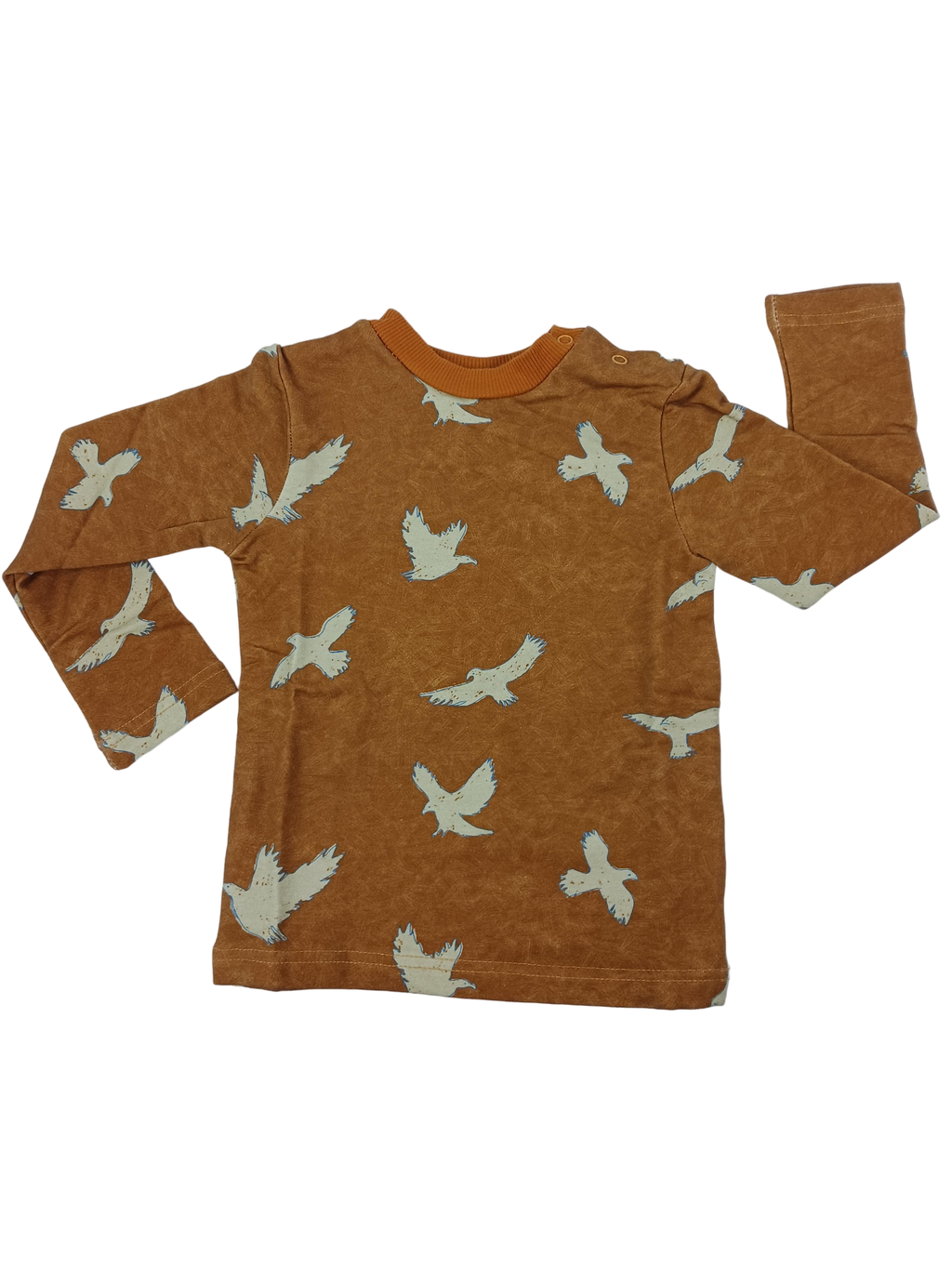 Kleidung Sweatshirt Front Image Last Season