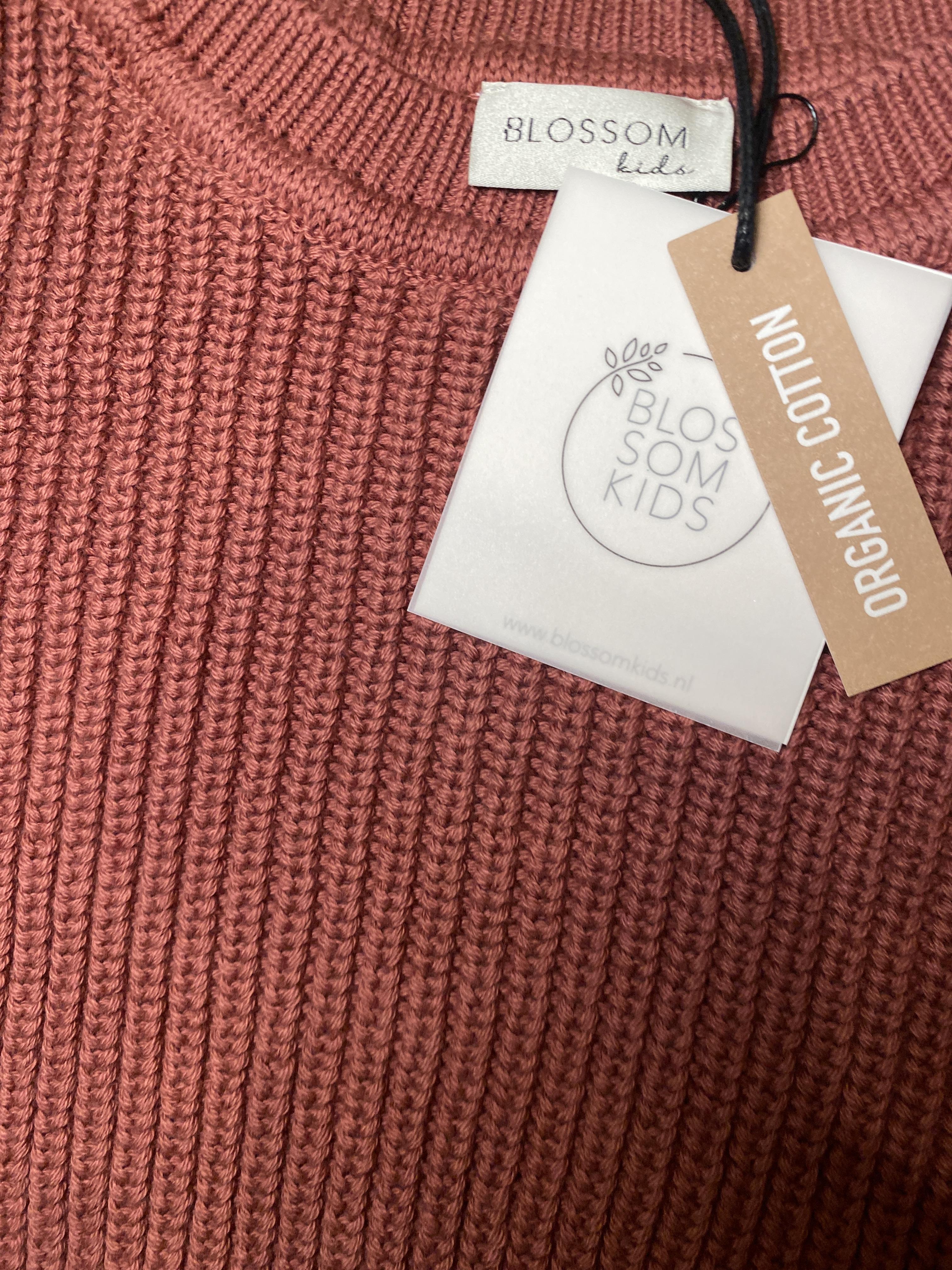 Strickpullover Strickpullover & Strickjacken Kleidung Rouge Jumper Blossom Kids  Rear Image Last Season