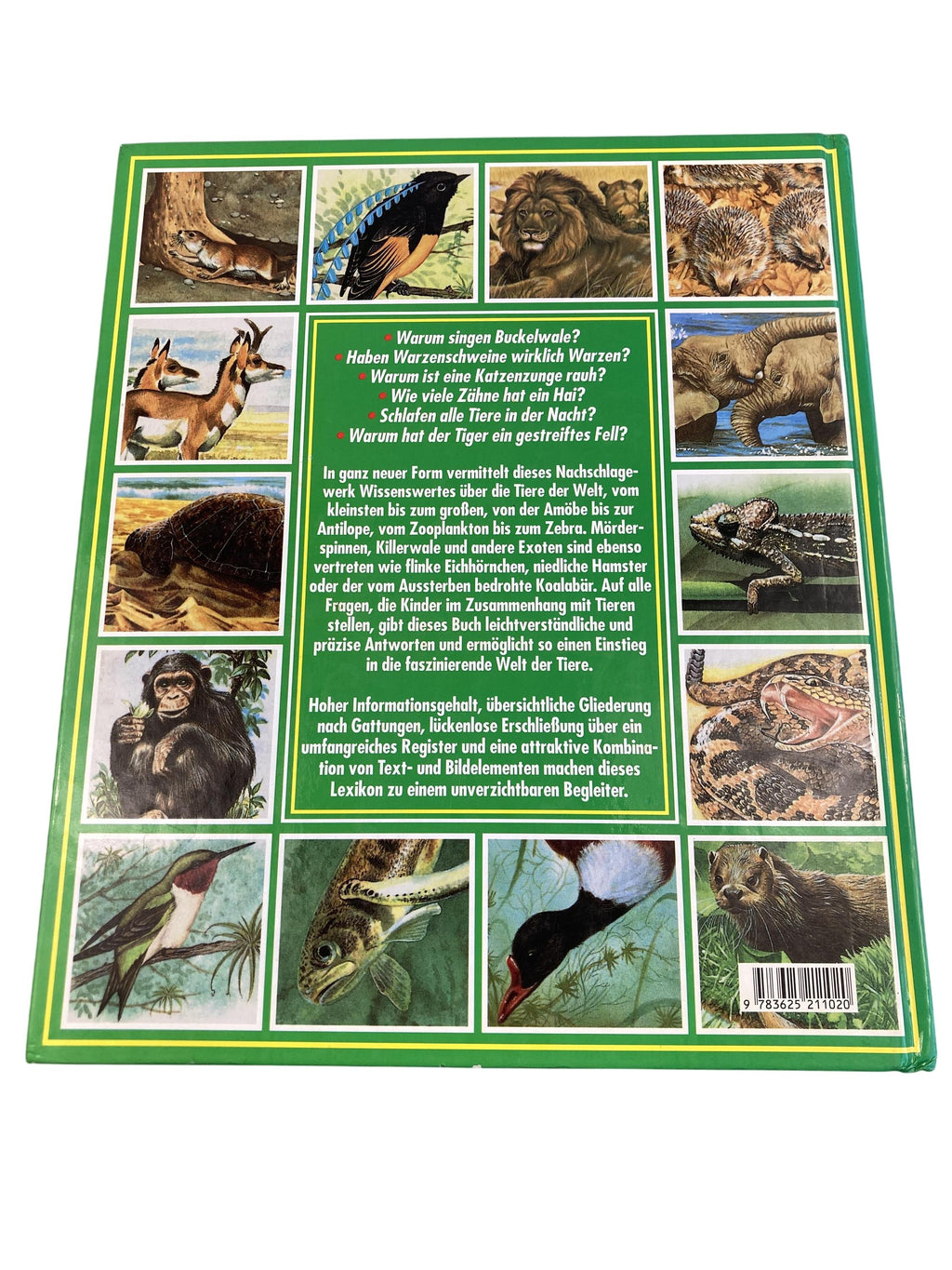 Kinderbücher Bücher Spielen & Lernen Wissen für Kinder Tiere Planet Medien Rear Image Second Hand