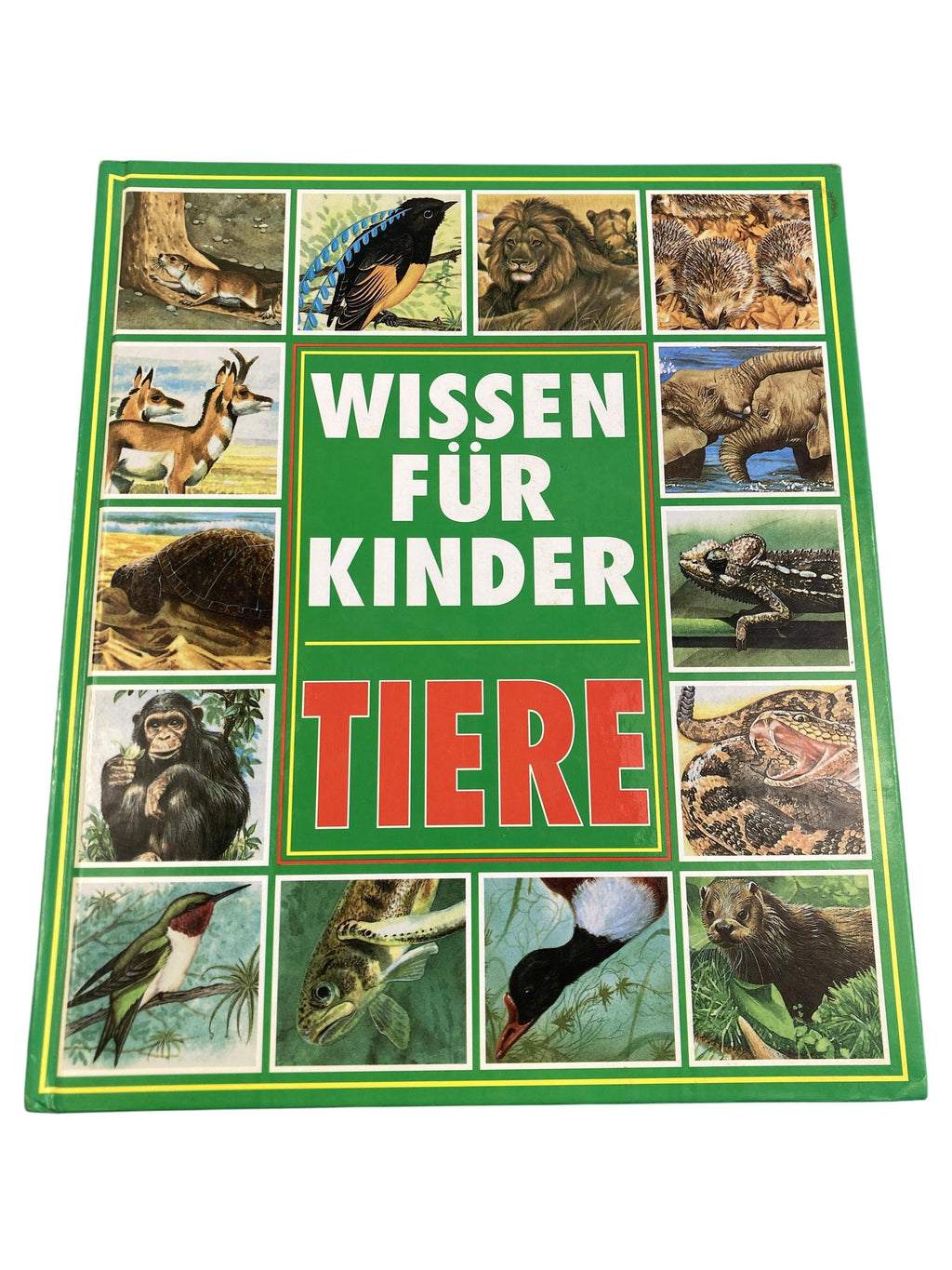 Kinderbücher Bücher Spielen & Lernen Wissen für Kinder Tiere Planet Medien Front Image Second Hand