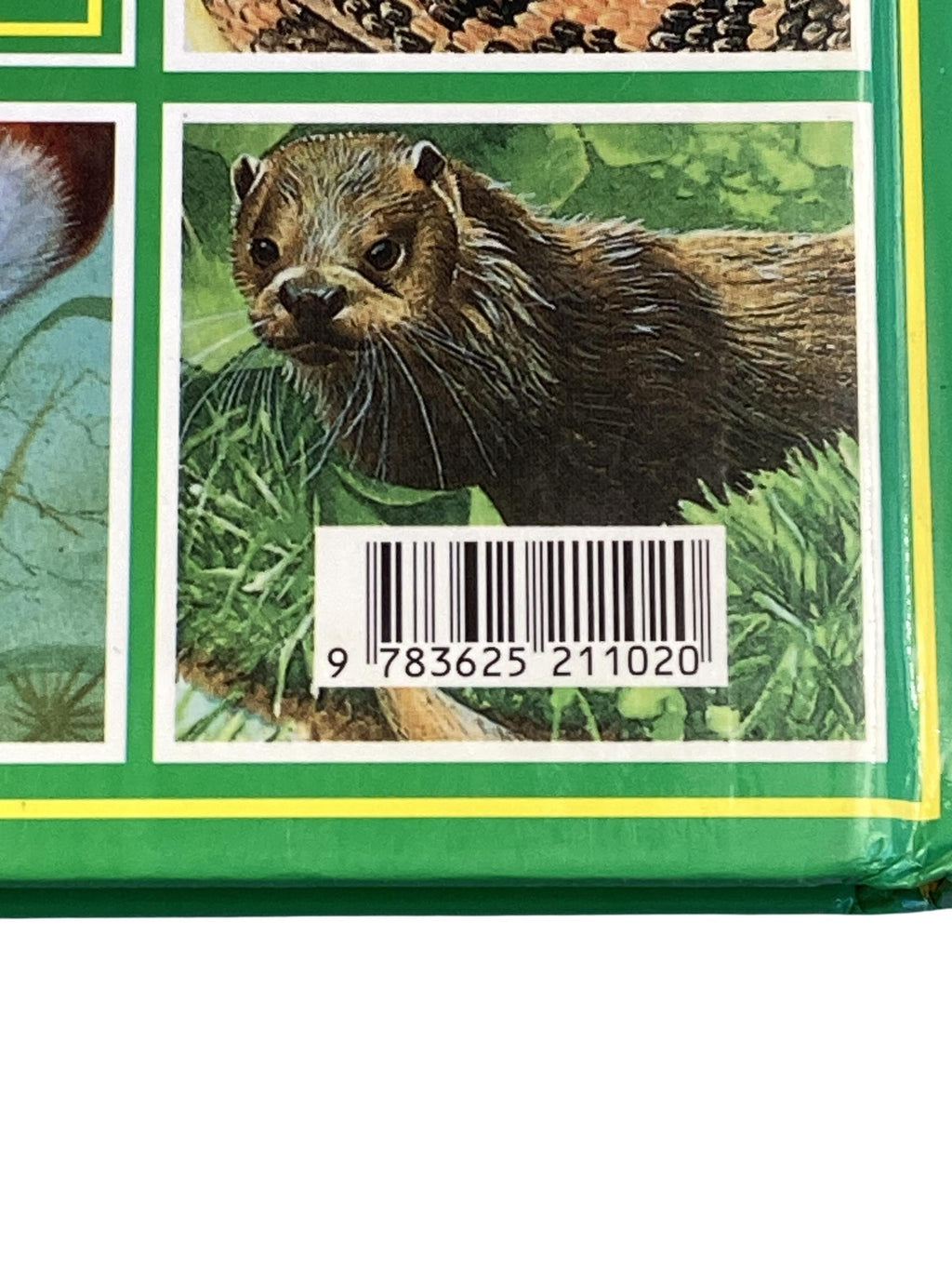 Kinderbücher Bücher Spielen & Lernen Wissen für Kinder Tiere Planet Medien Label Image Second Hand