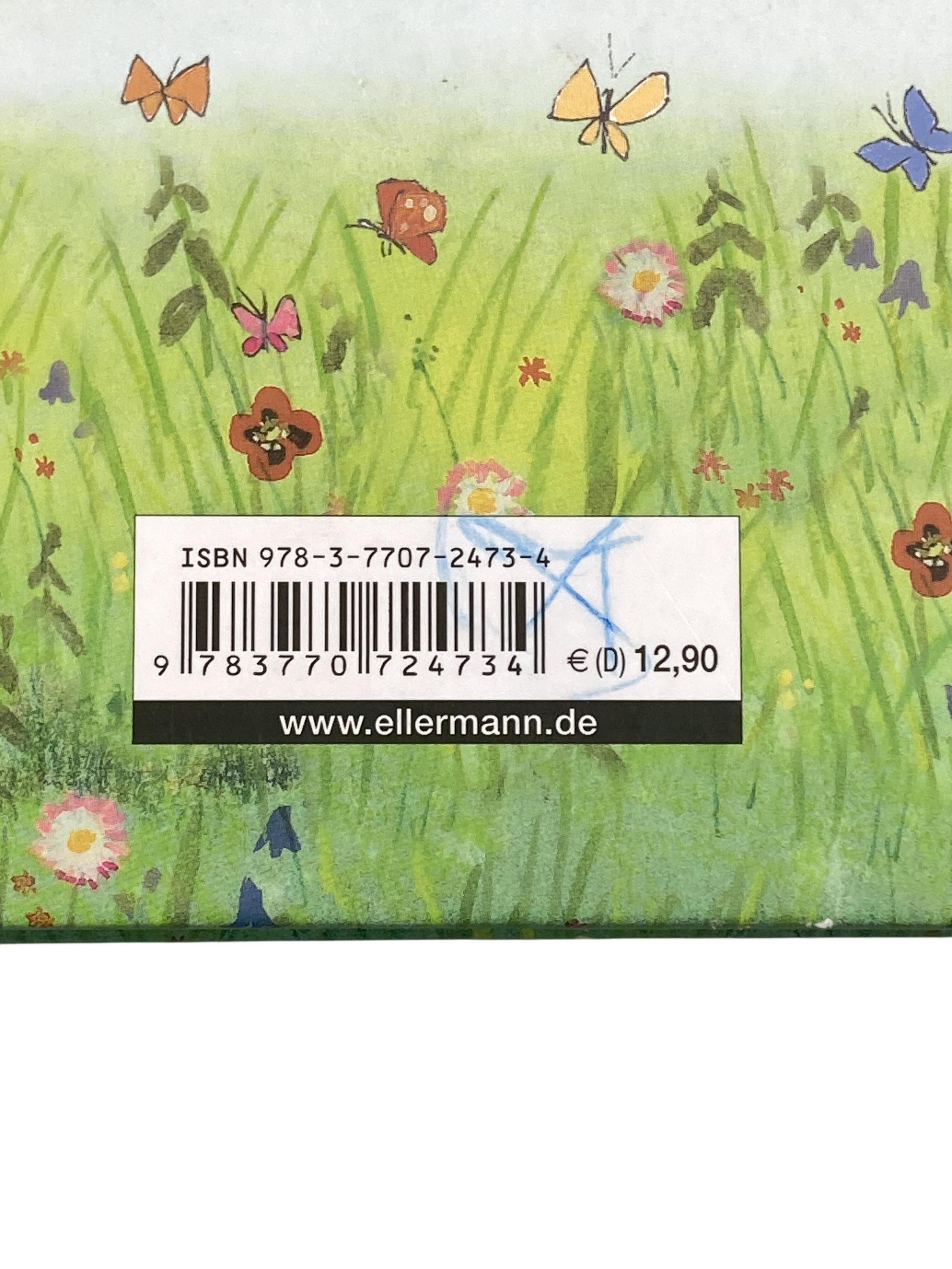 Kinderbücher Bücher Spielen & Lernen Freche Feen, zauberhafte Elfen und mutige Prinzessinnen Ellermann Label Image Second Hand