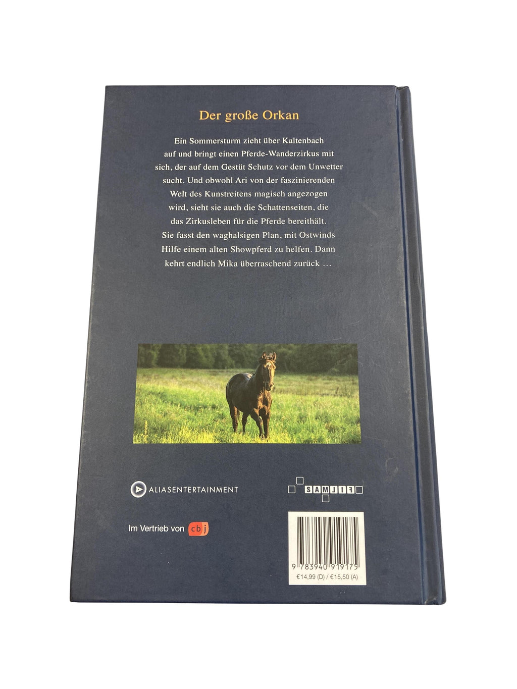 Kinderbücher Bücher Spielen & Lernen Ostwind - Der große Orkan Cbj Rear Image Second Hand