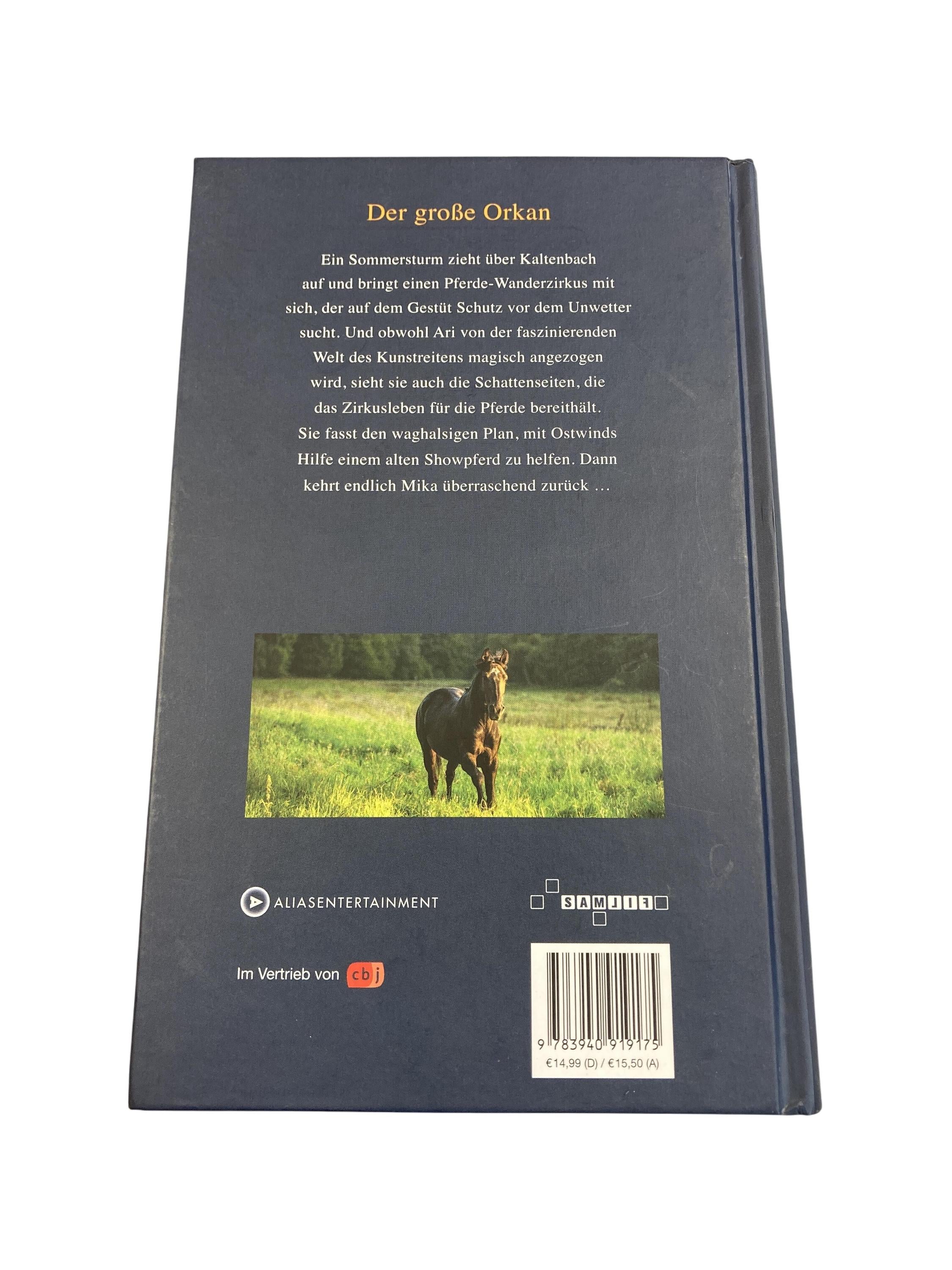 Kinderbücher Bücher Spielen & Lernen Ostwind - Der große Orkan Cbj Rear Image Second Hand