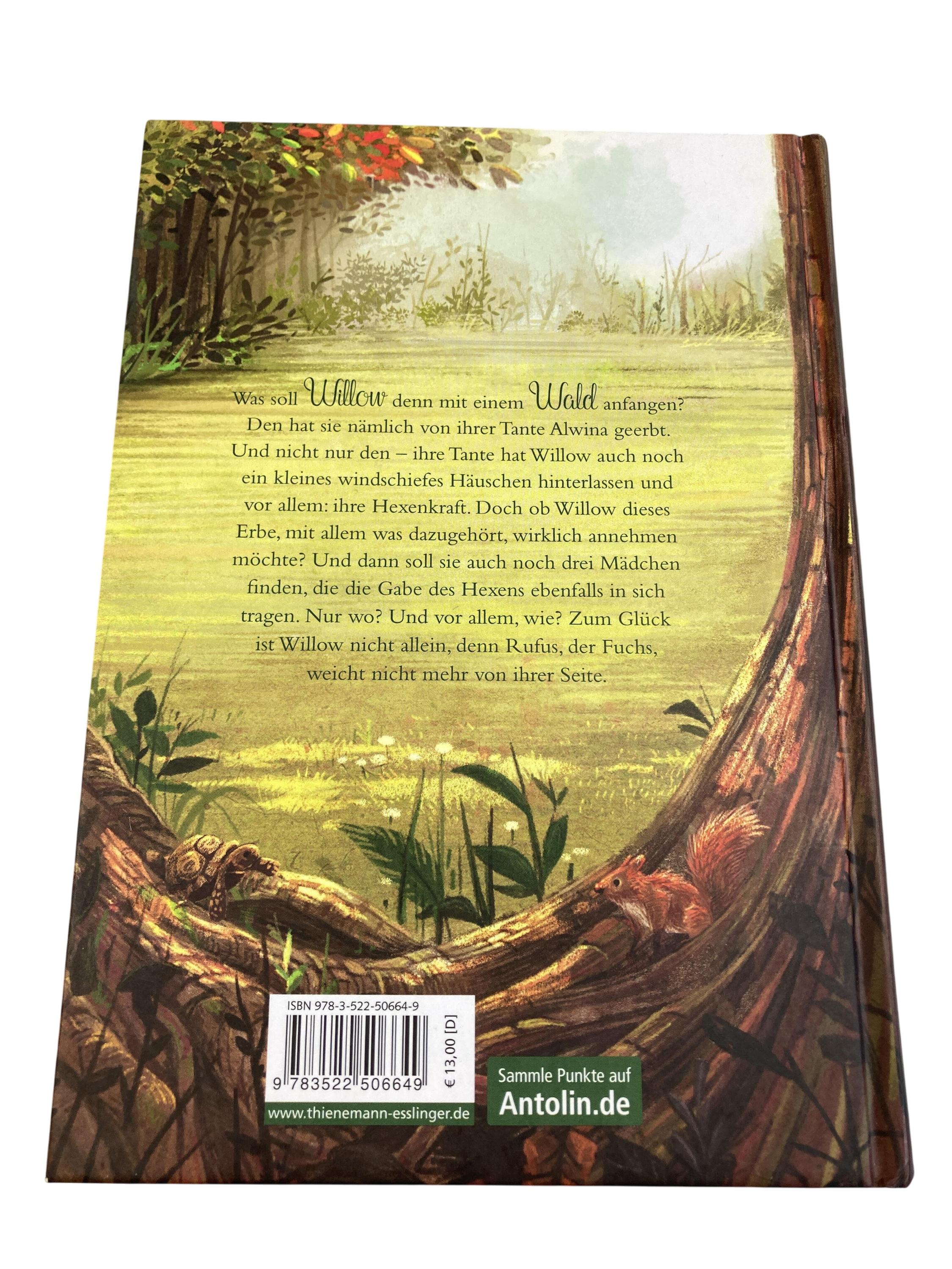 Kinderbücher Bücher Spielen & Lernen Sabine Bohlmann - Ein Mädchen Namens Willow Planet Verlag Rear Image Second Hand
