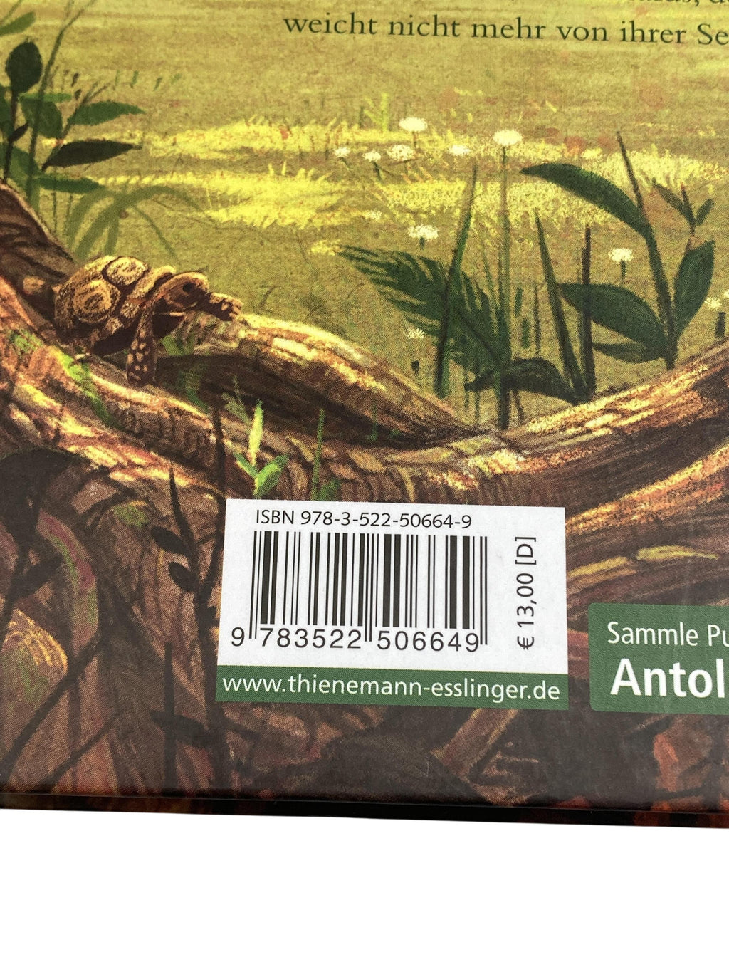 Kinderbücher Bücher Spielen & Lernen Sabine Bohlmann - Ein Mädchen Namens Willow Planet Verlag Label Image Second Hand