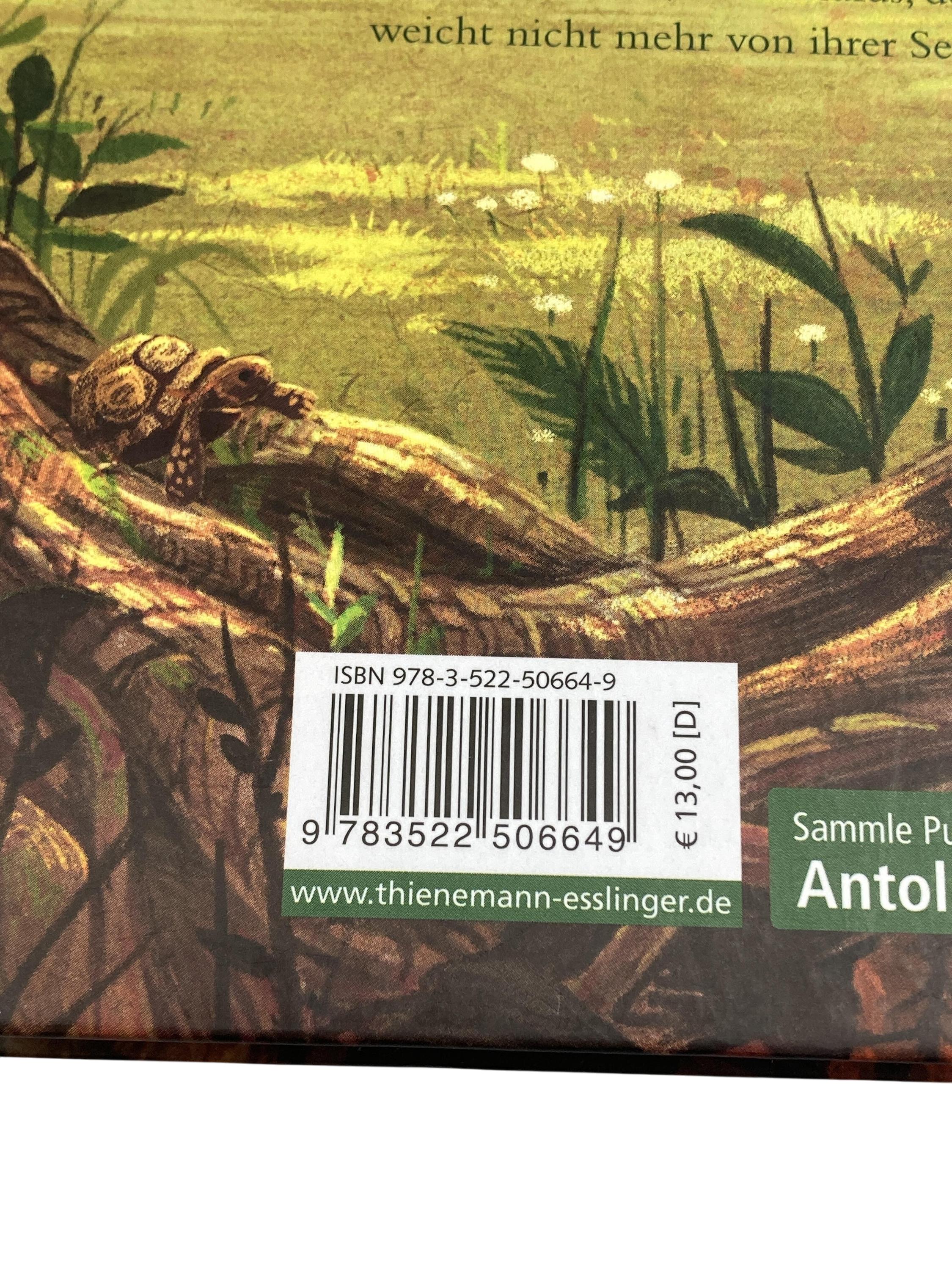 Kinderbücher Bücher Spielen & Lernen Sabine Bohlmann - Ein Mädchen Namens Willow Planet Verlag Label Image Second Hand
