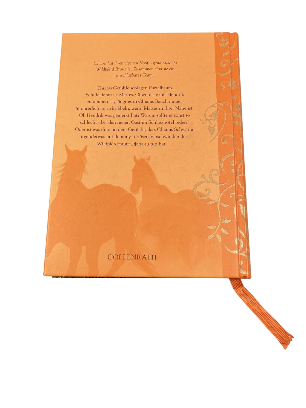 Jugendbücher Bücher Spielen & Lernen Chiara Sturm der Gefühle Coppenrath Rear Image Second Hand