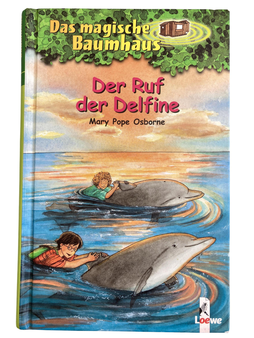 Kinderbücher Bücher Spielen & Lernen Der Ruf der Delfine Loewe Front Image Second Hand