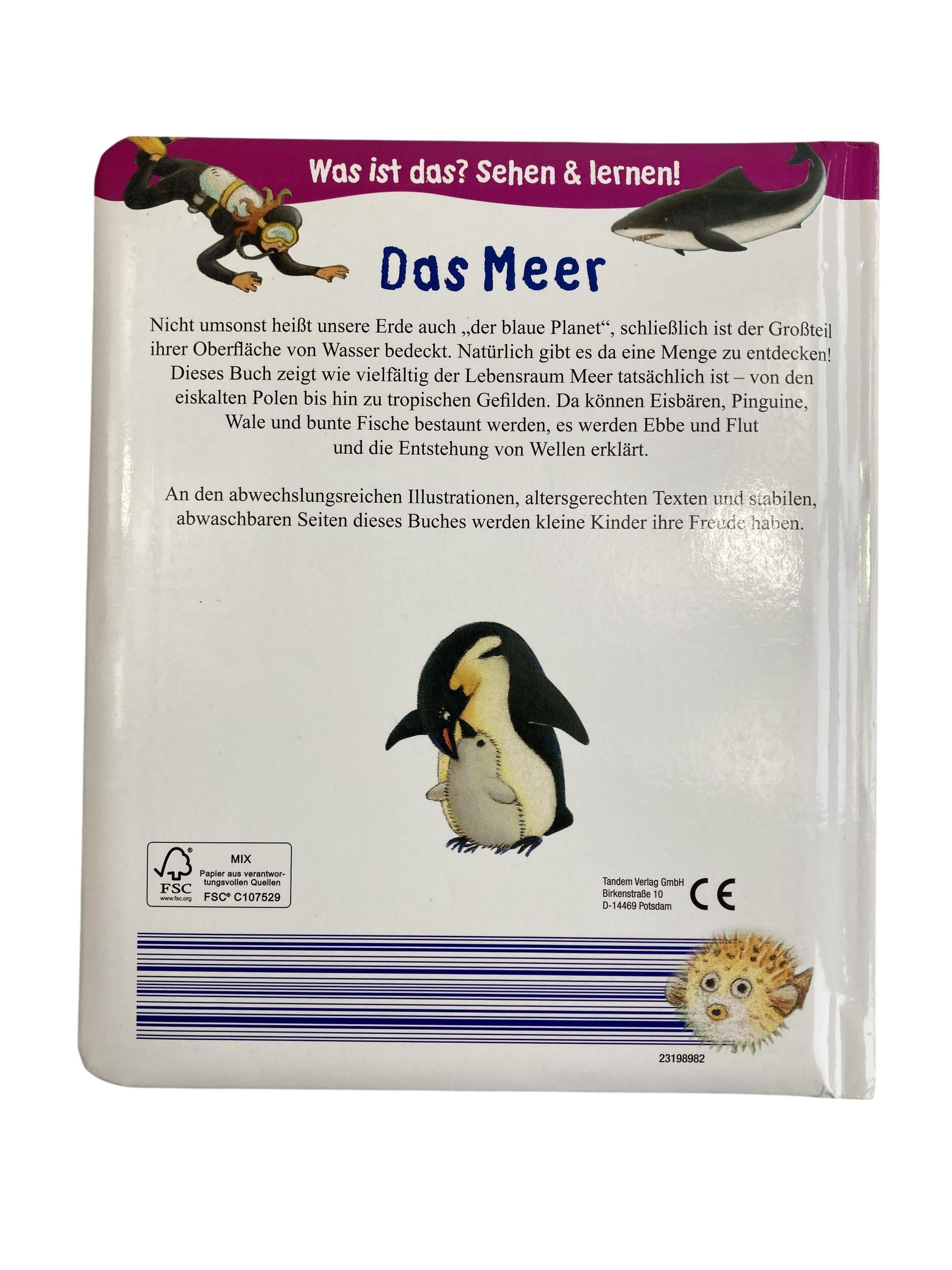 Kinderbücher Bücher Spielen & Lernen Das Meer Tandem.Verlag Rear Image Second Hand