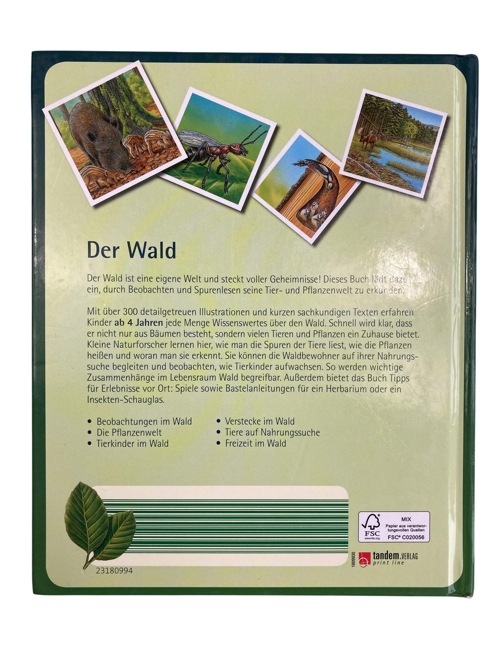 Kinderbücher Bücher Spielen & Lernen Der Wald Tandem.Verlag Rear Image Second Hand