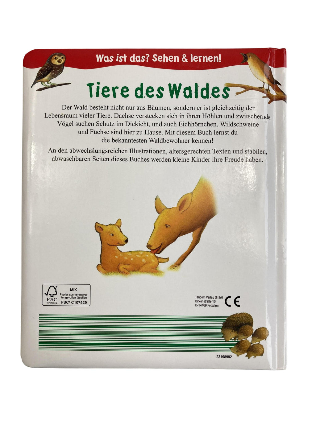Kinderbücher Bücher Spielen & Lernen Tiere des Waldes Tandem.Verlag Rear Image Second Hand