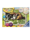 Schreiben, Malen & Basteln Spielen & Lernen Malen nach Zahlen - Mit farbigen Motivlinien Ravensburger Front Image Second Hand