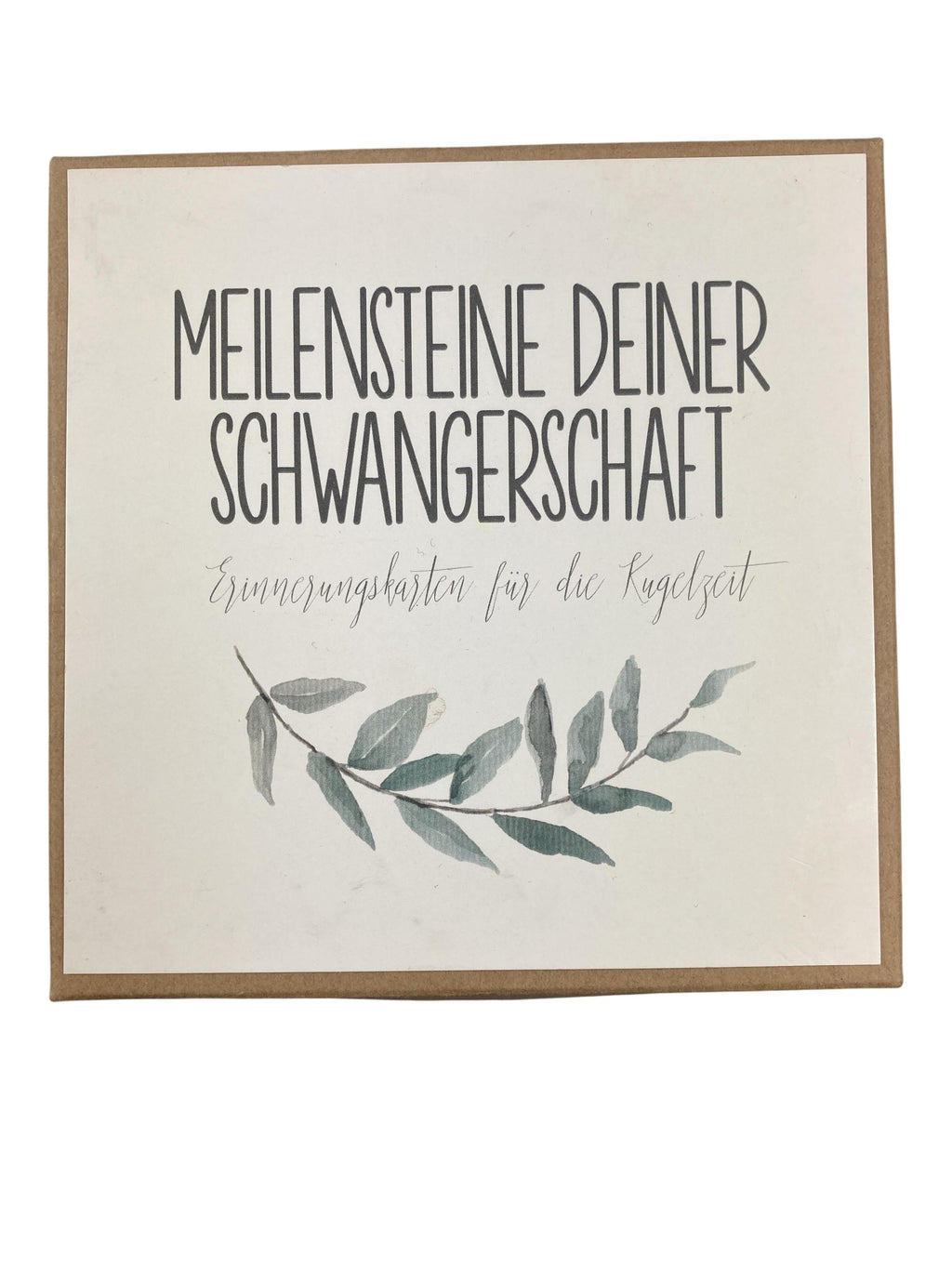 Schwangerschaft & Stillen Meilensteinkarten Schwangerschaft Unbekannt  Front Image Second Hand